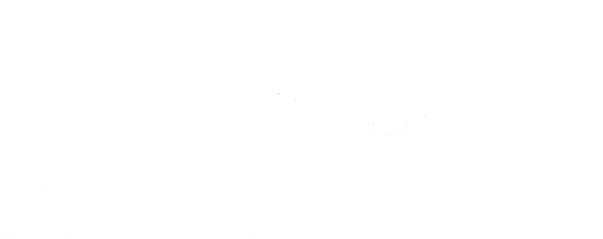 AIDEJOVEN – Alianza Internacional para el Desarrollo de los Jóvenes